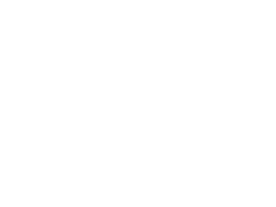 wellskin-logo2